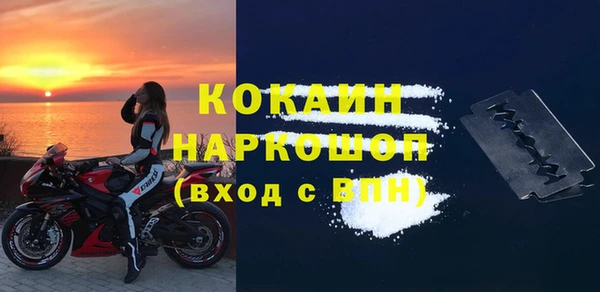 гашик Арсеньев