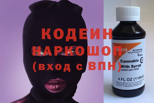 гашик Арсеньев