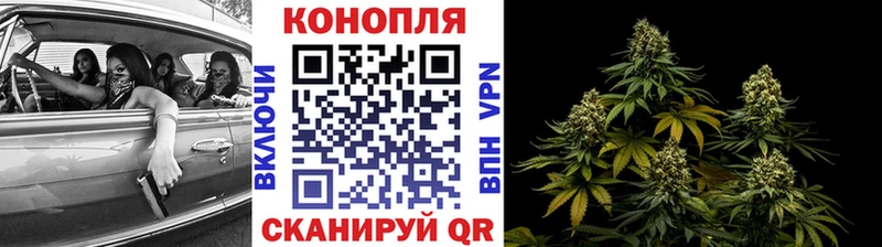 Конопля MAZAR  купить   Артёмовский 
